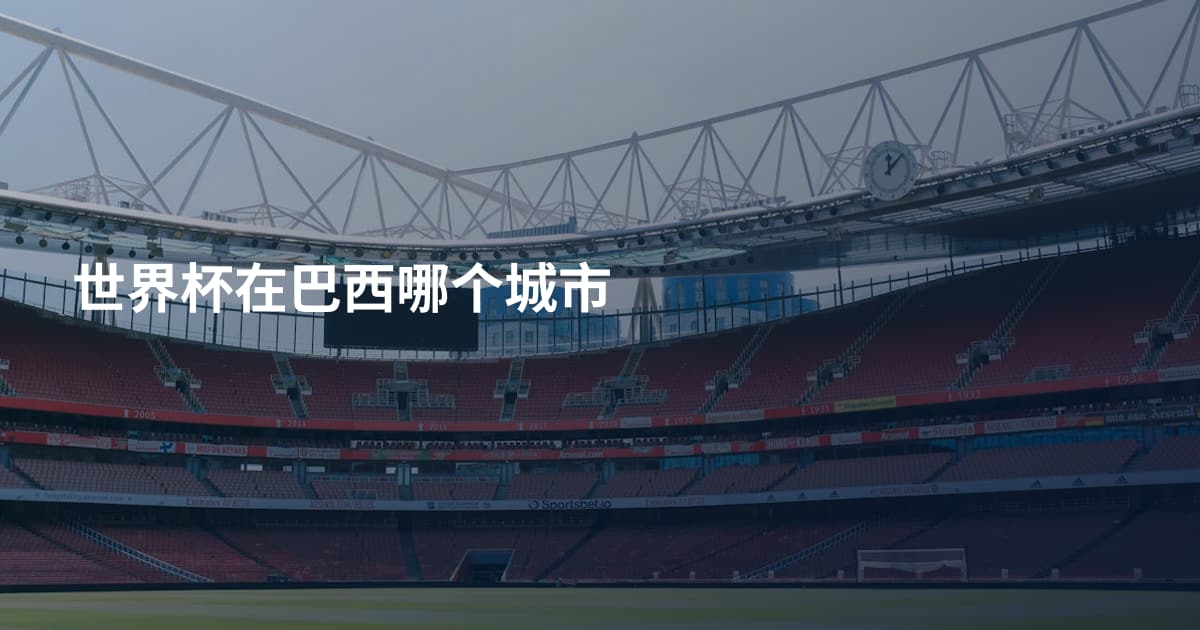 世界杯在巴西哪个城市