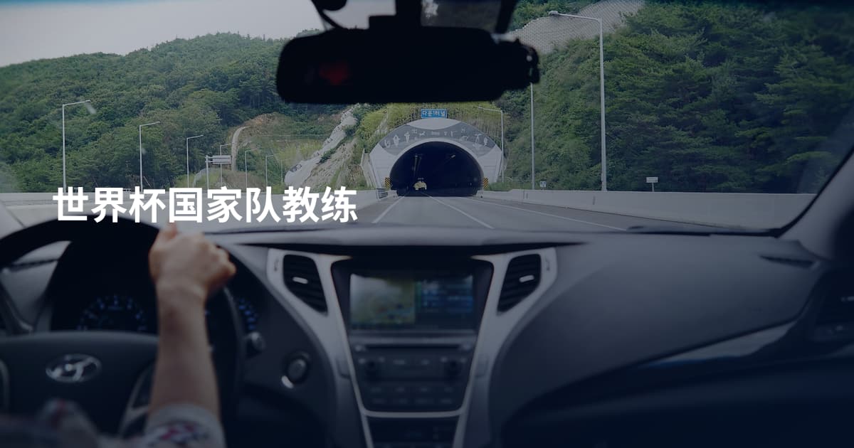 世界杯国家队教练