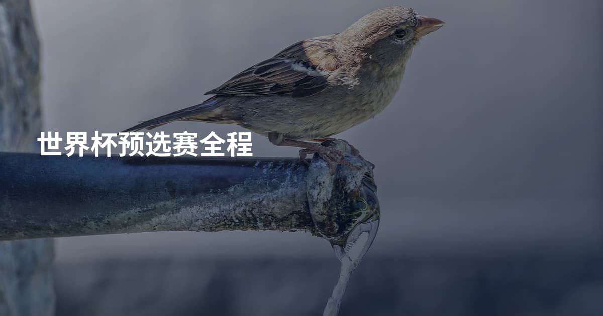 世界杯预选赛全程