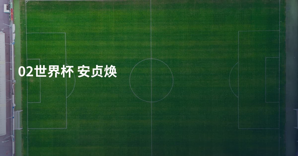 02世界杯 安贞焕