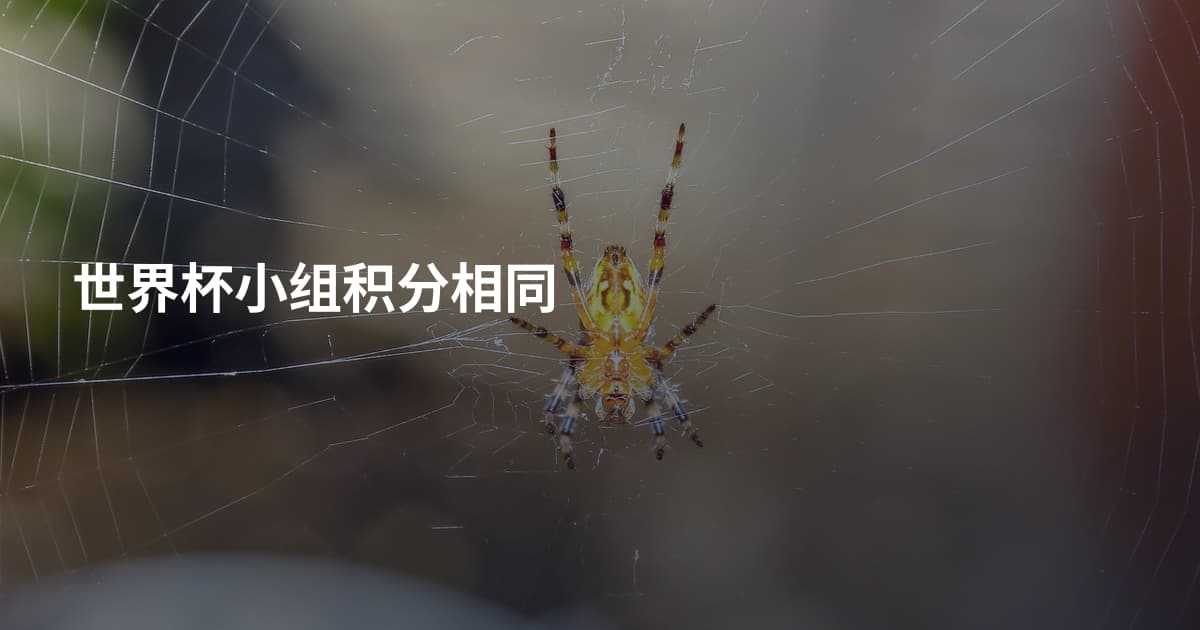 世界杯小组积分相同