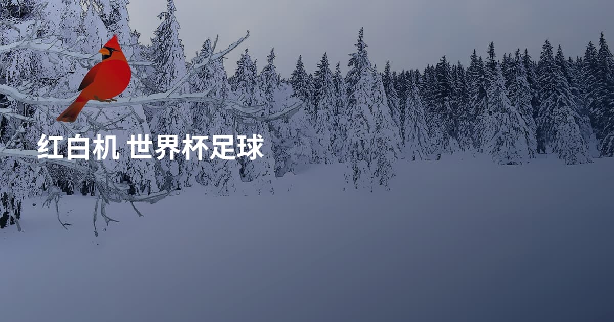 红白机 世界杯足球