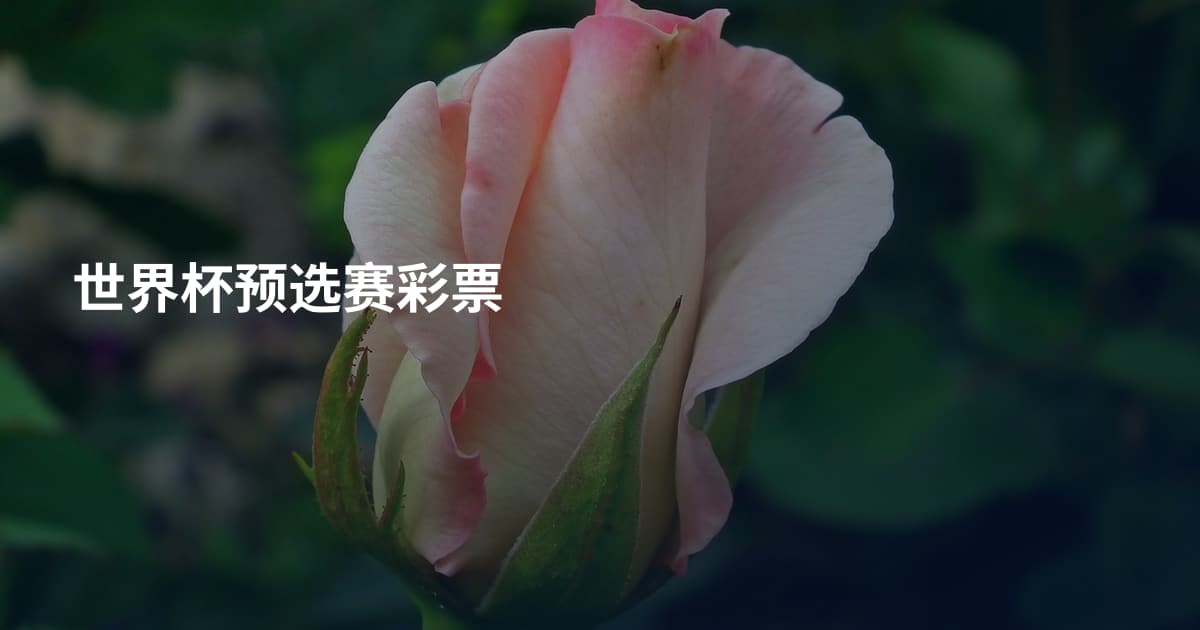 世界杯预选赛彩票