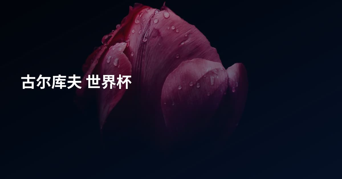 古尔库夫 世界杯