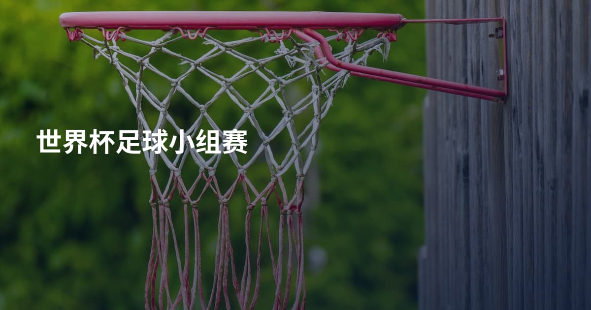 世界杯足球小组赛