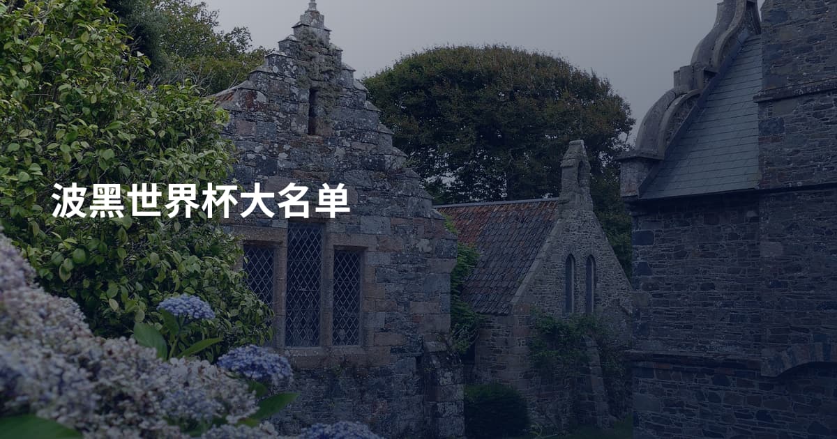 波黑世界杯大名单