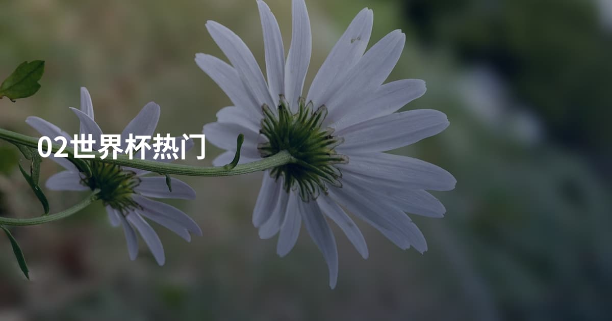 02世界杯热门