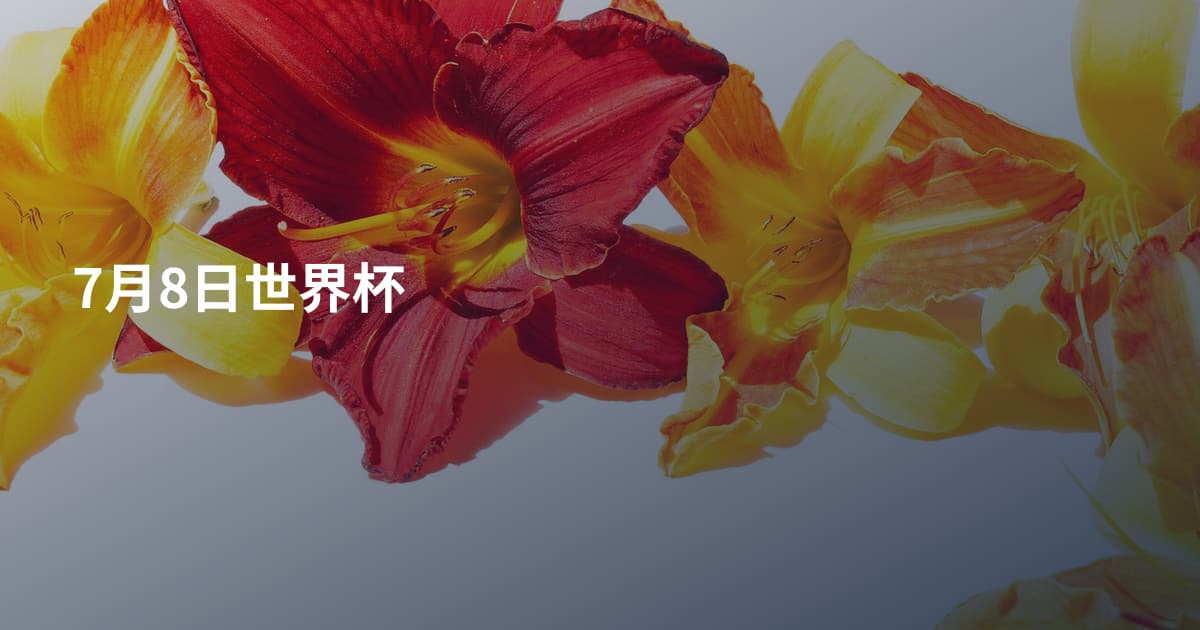 7月8日世界杯