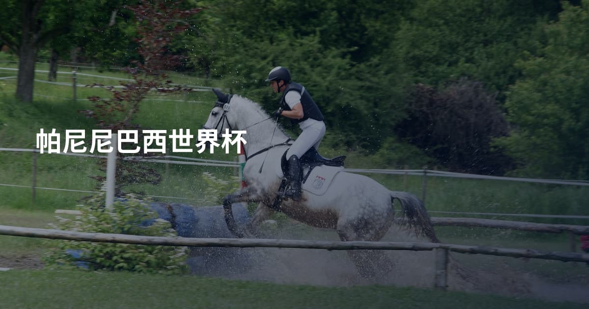 帕尼尼巴西世界杯