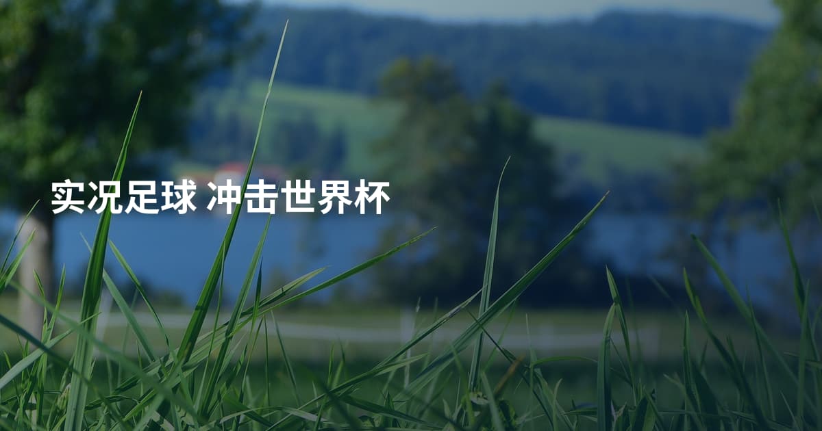 实况足球 冲击世界杯