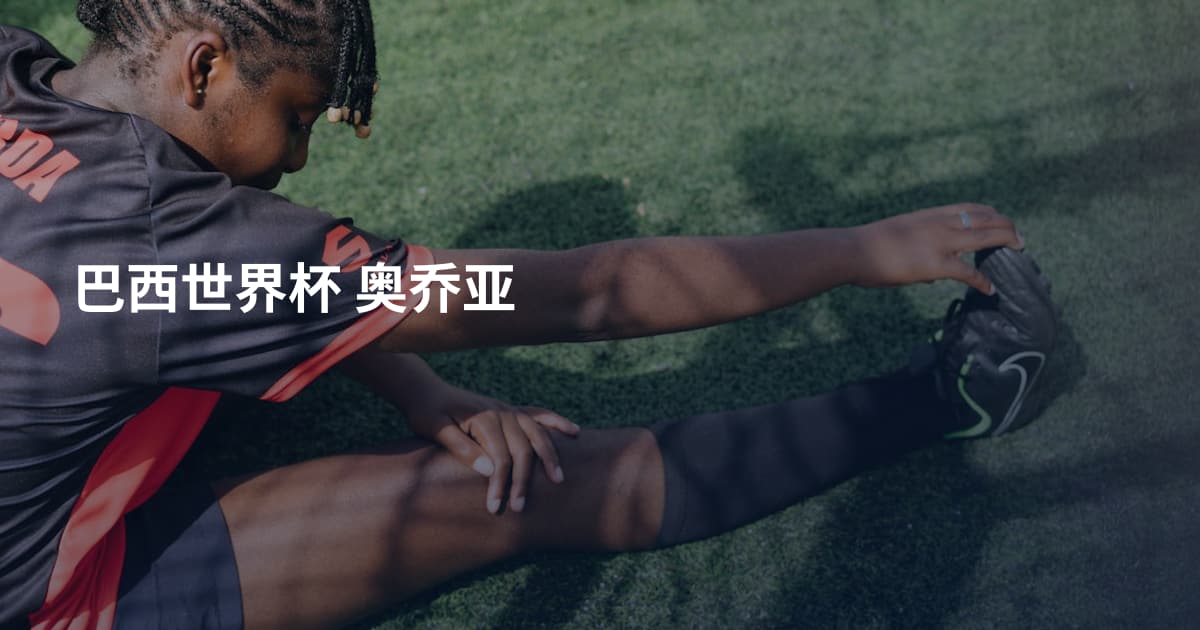 巴西世界杯 奥乔亚