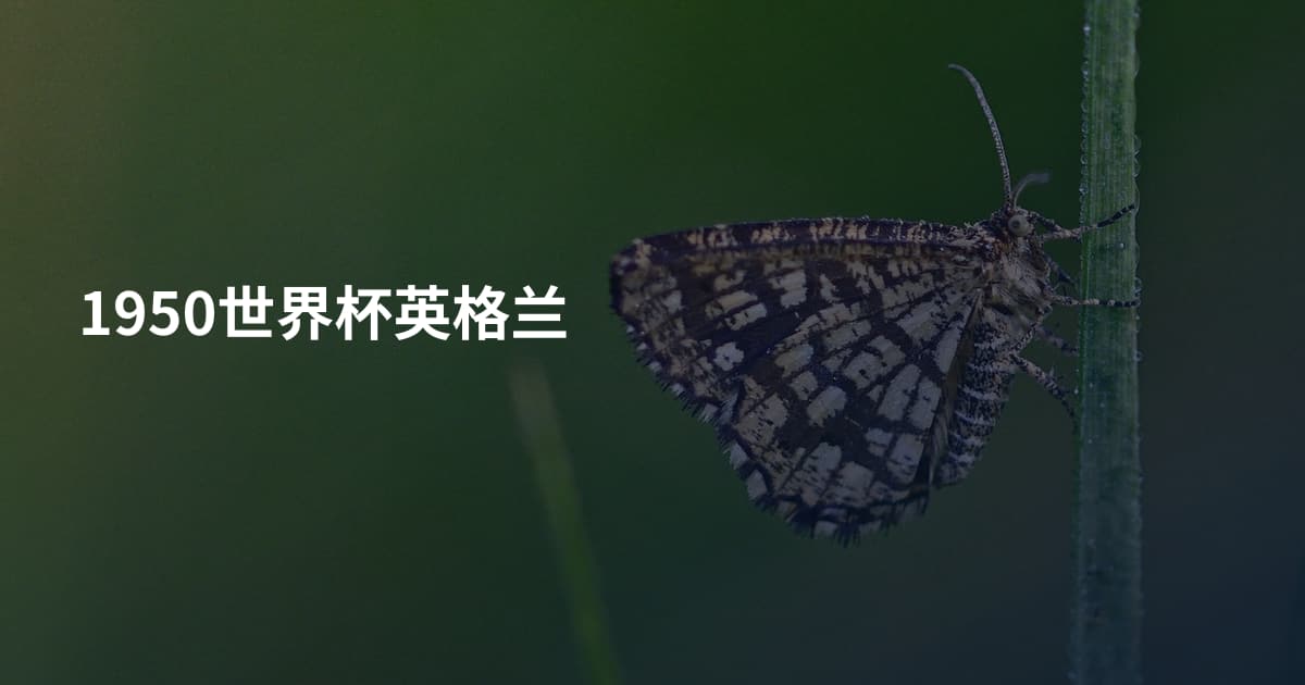 1950世界杯英格兰