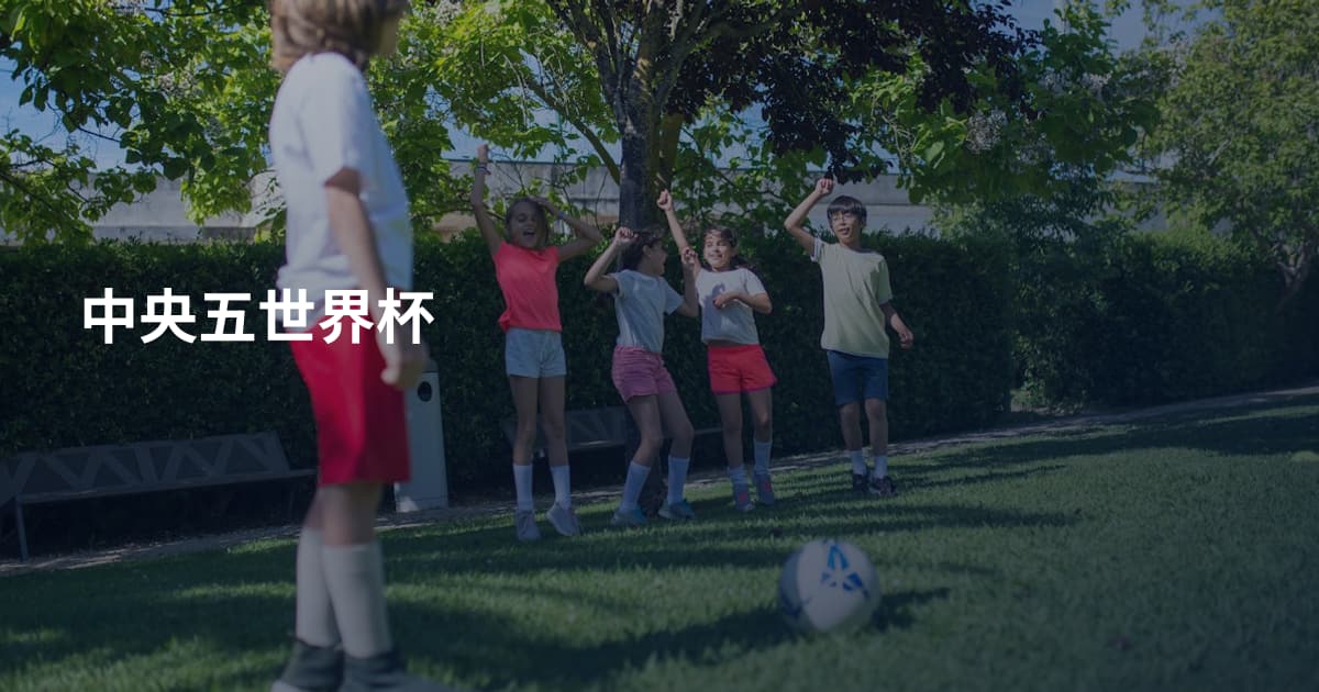 中央五世界杯