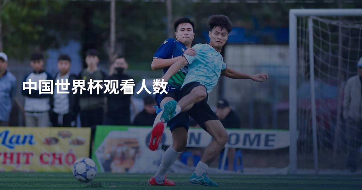 中国世界杯观看人数
