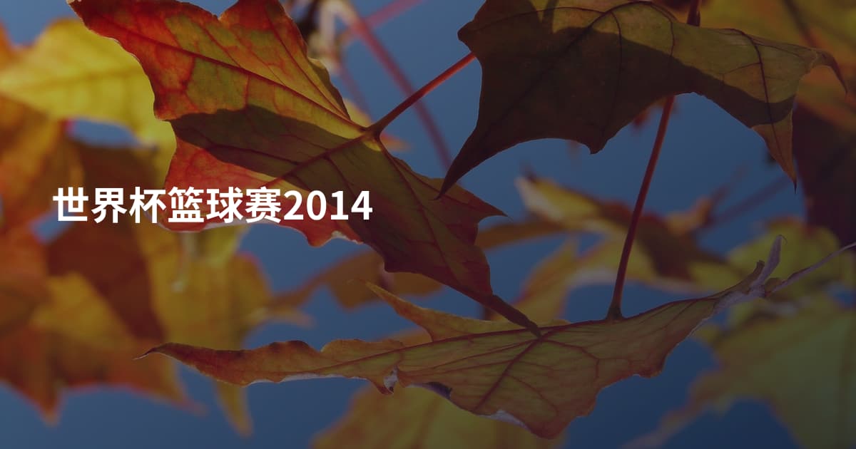 世界杯篮球赛2014