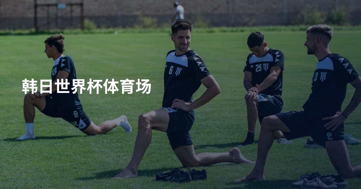 韩日世界杯体育场