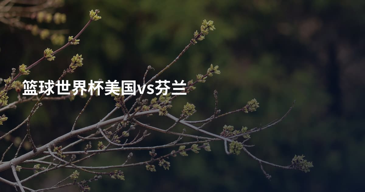 篮球世界杯美国vs芬兰