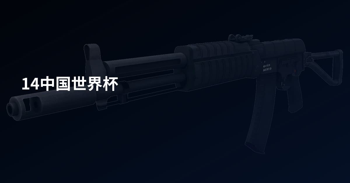 14中国世界杯