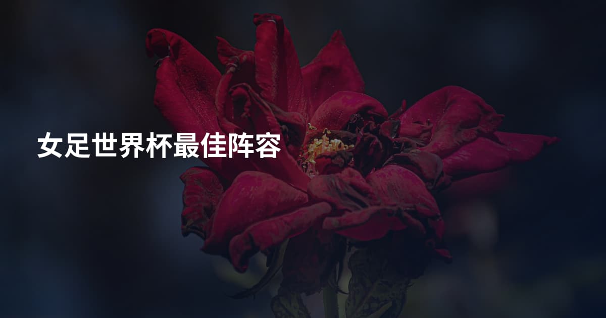 女足世界杯最佳阵容