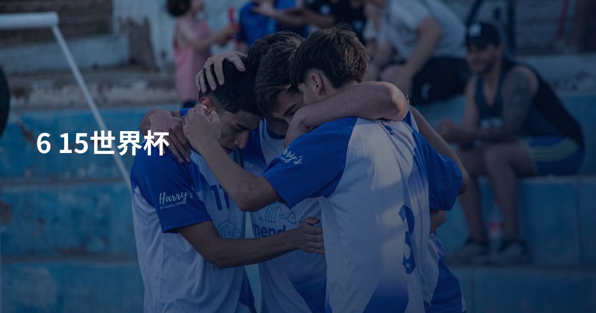 6 15世界杯