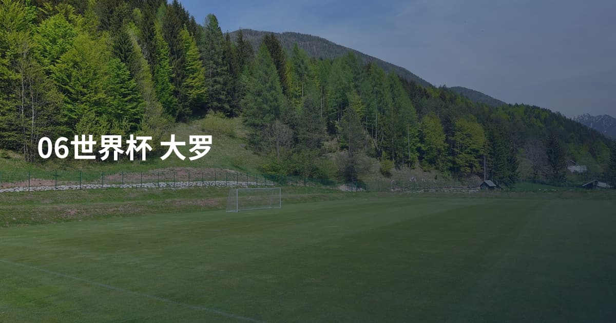 06世界杯 大罗