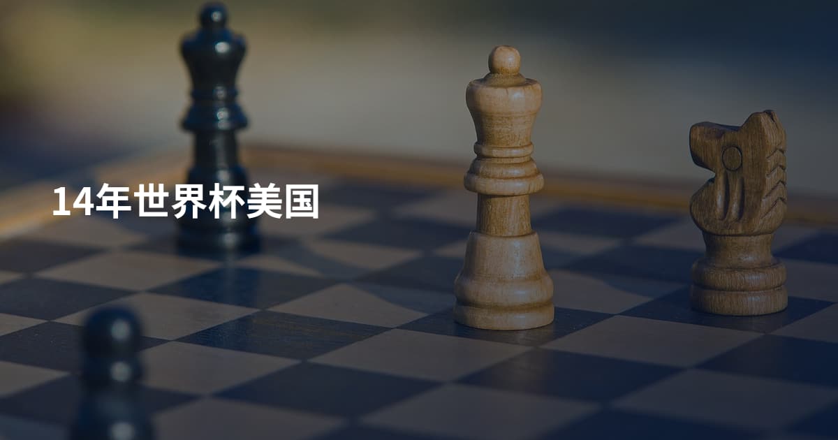 14年世界杯美国