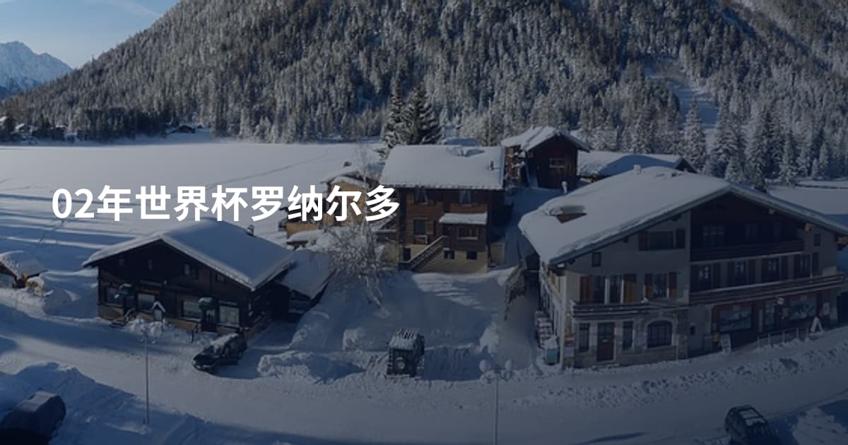 02年世界杯罗纳尔多