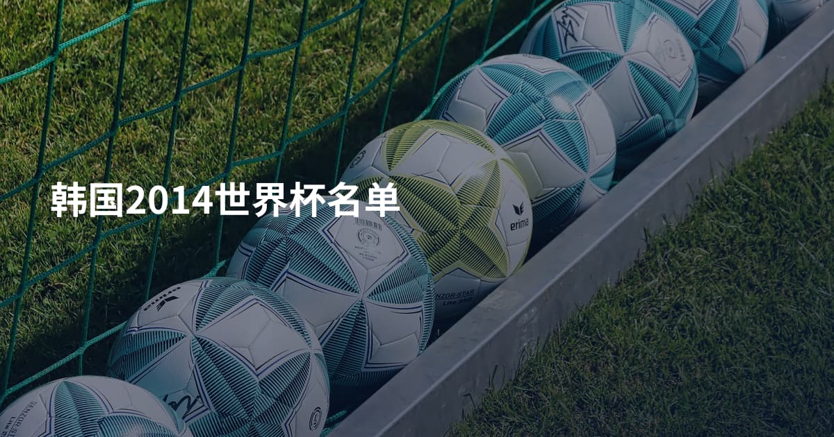 韩国2014世界杯名单