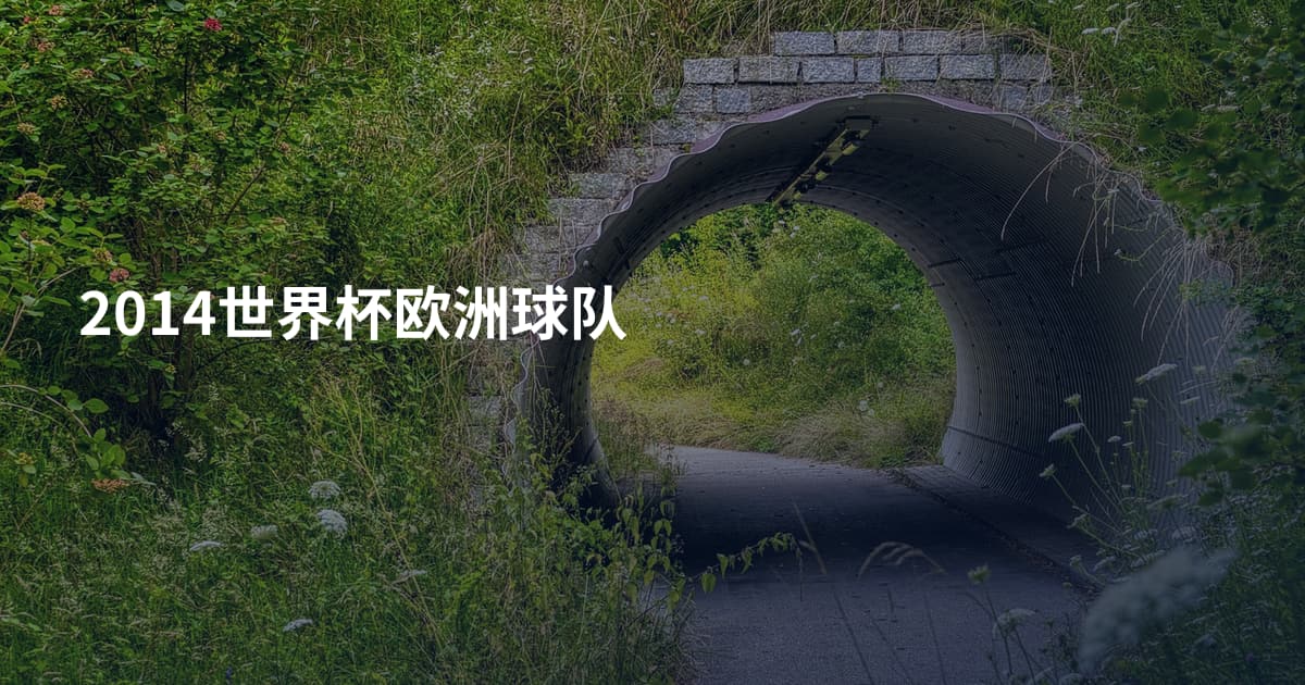 2014世界杯欧洲球队