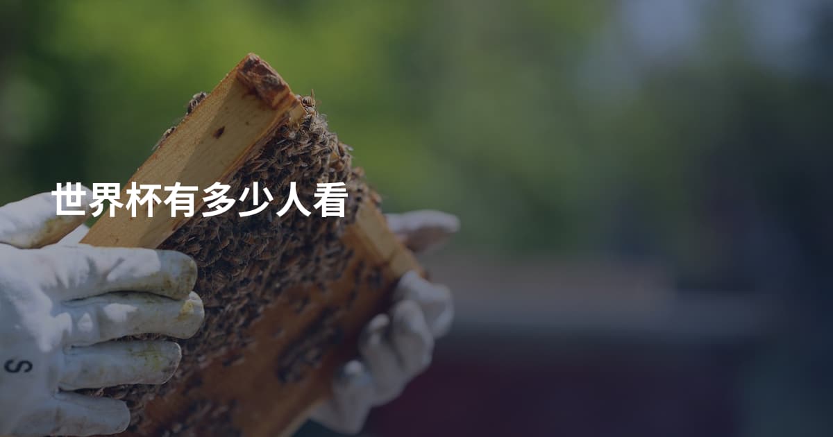 世界杯有多少人看