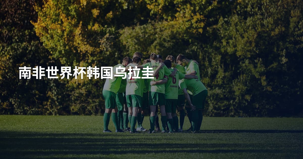 南非世界杯韩国乌拉圭