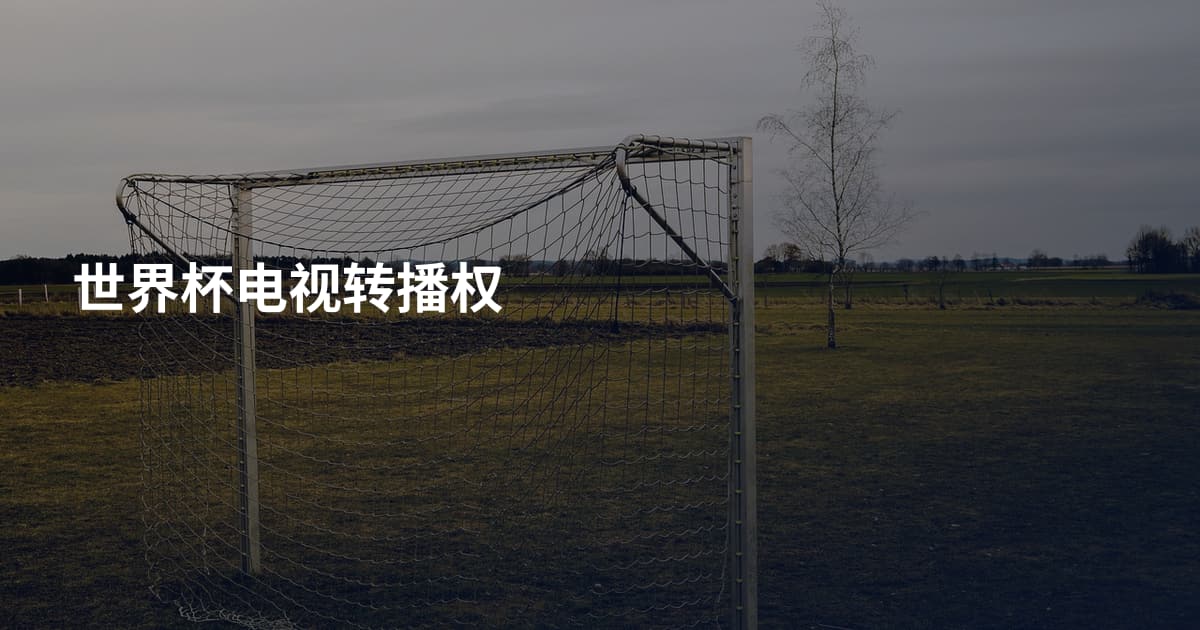 世界杯电视转播权