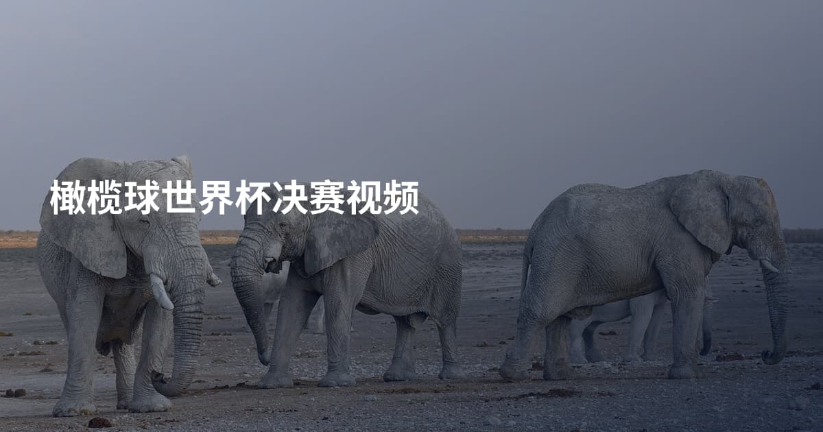 橄榄球世界杯决赛视频
