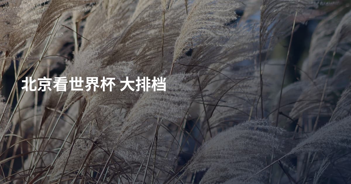 北京看世界杯 大排档