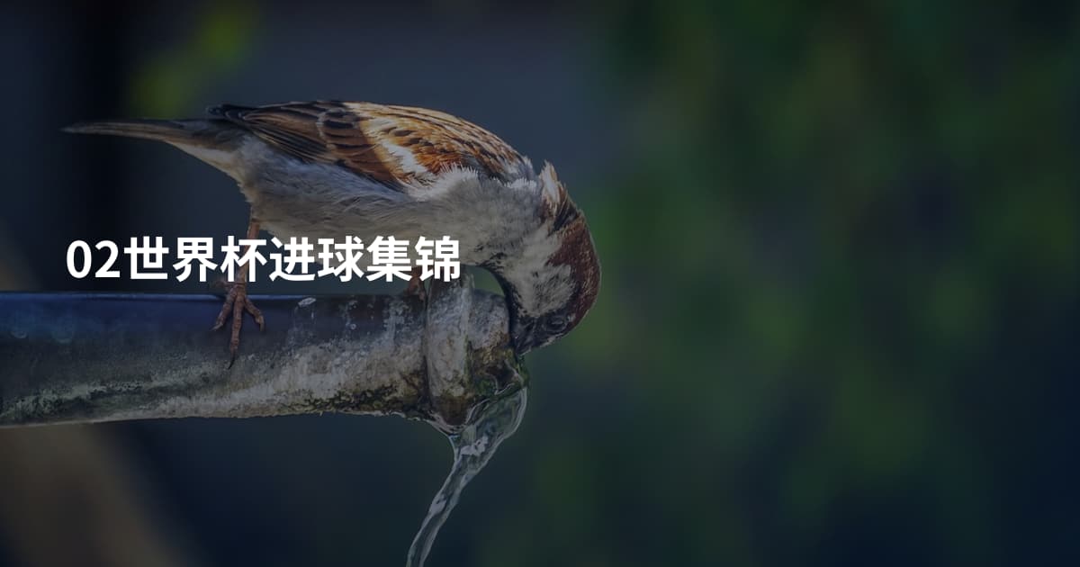 02世界杯进球集锦