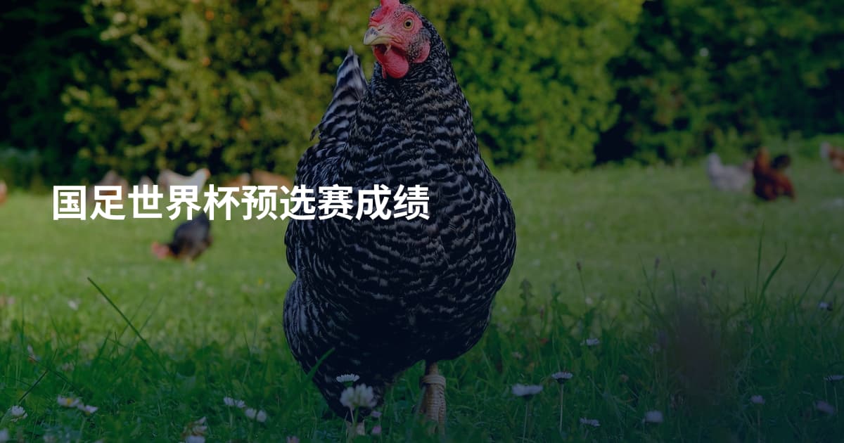 国足世界杯预选赛成绩