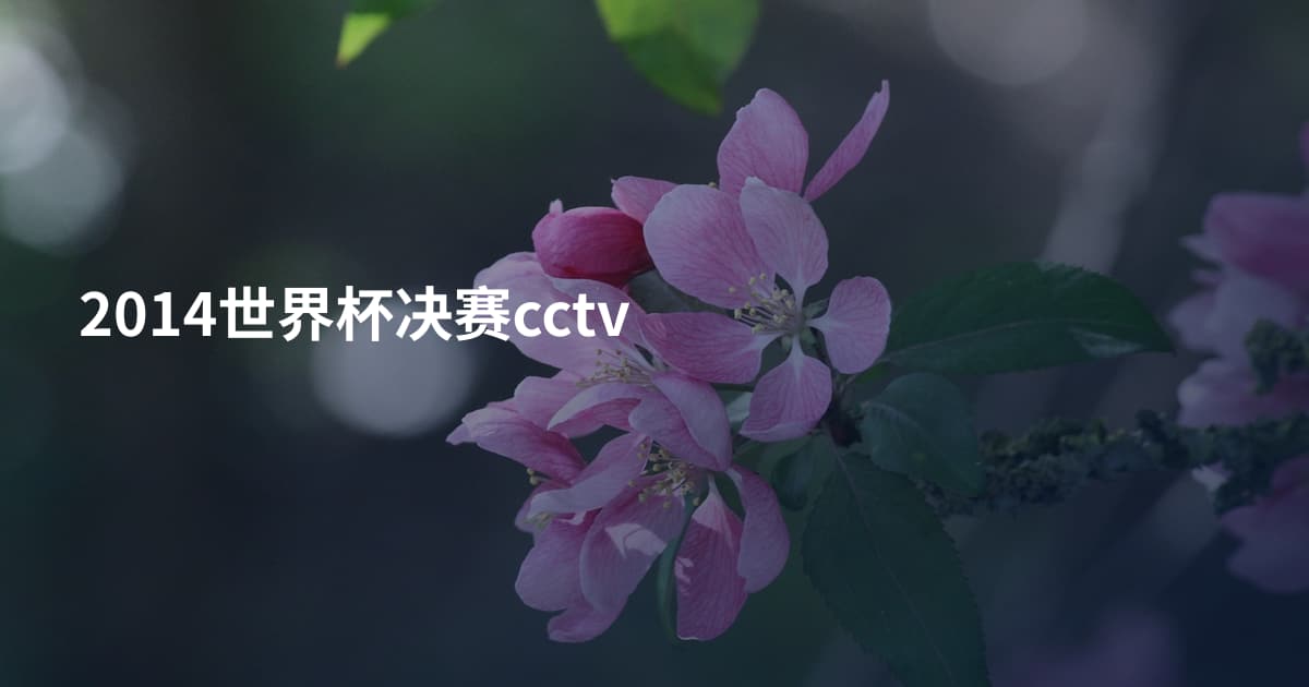 2014世界杯决赛cctv