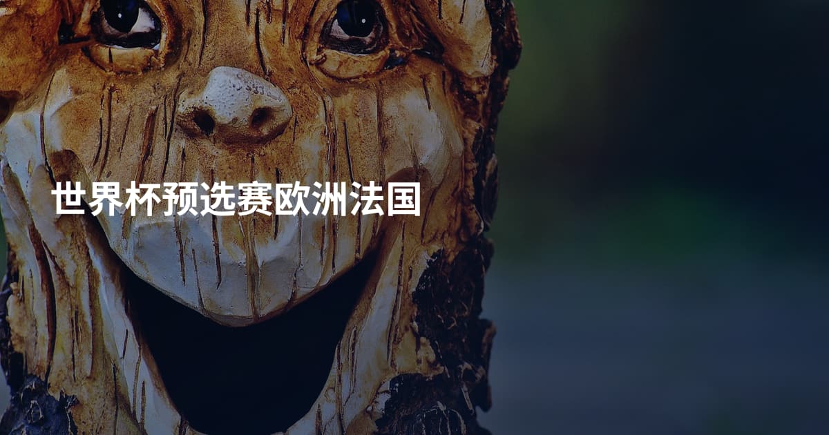 世界杯预选赛欧洲法国