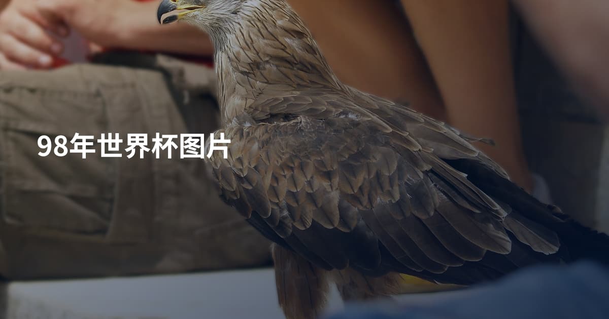 98年世界杯图片