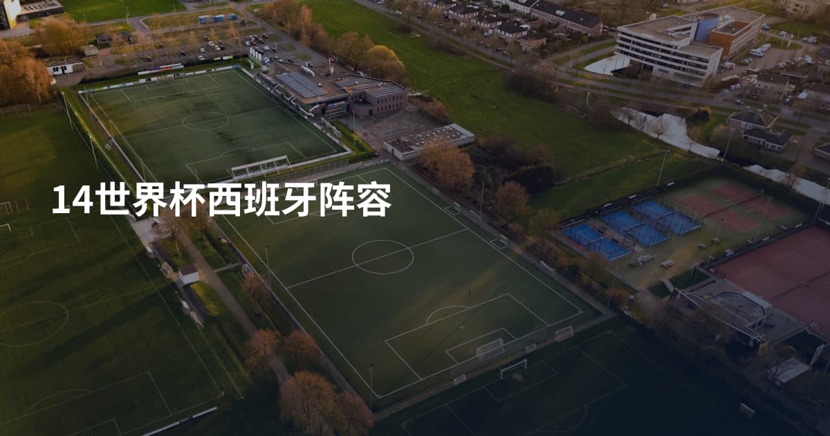 14世界杯西班牙阵容