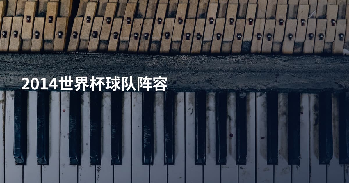 2014世界杯球队阵容