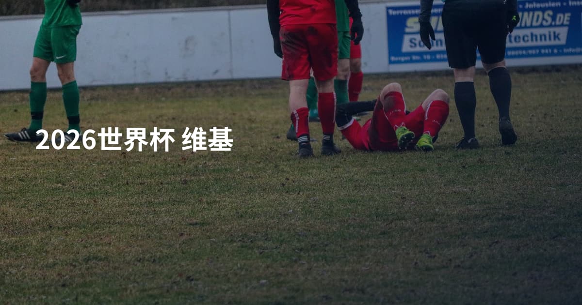 2026世界杯 维基