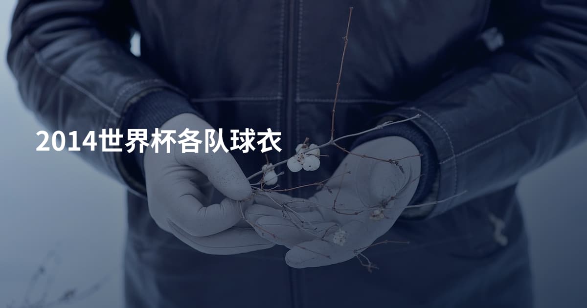 2014世界杯各队球衣