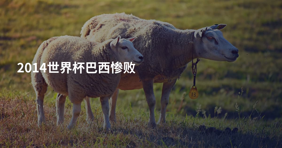 2014世界杯巴西惨败