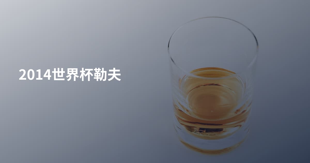 2014世界杯勒夫
