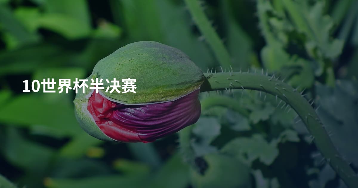 10世界杯半决赛
