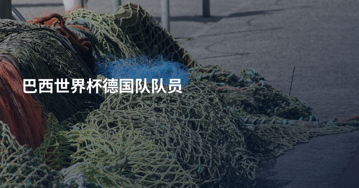 巴西世界杯德国队队员