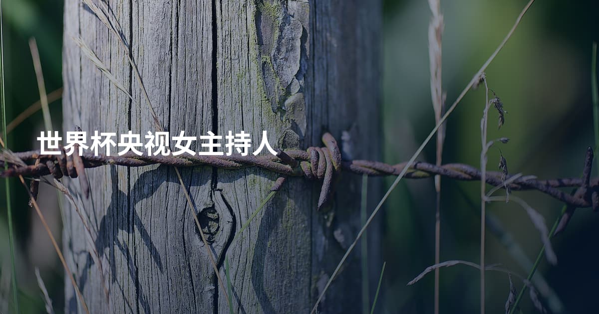 世界杯央视女主持人
