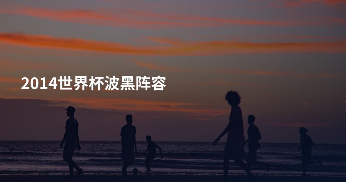 2014世界杯波黑阵容