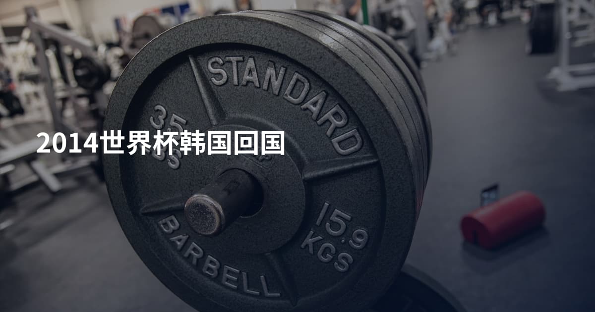 2014世界杯韩国回国